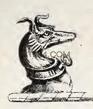 ANIMAL_0210